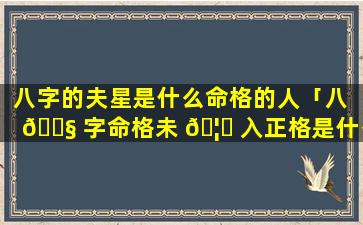 八字的夫星是什么命格的人「八 🐧 字命格未 🦉 入正格是什么意思」